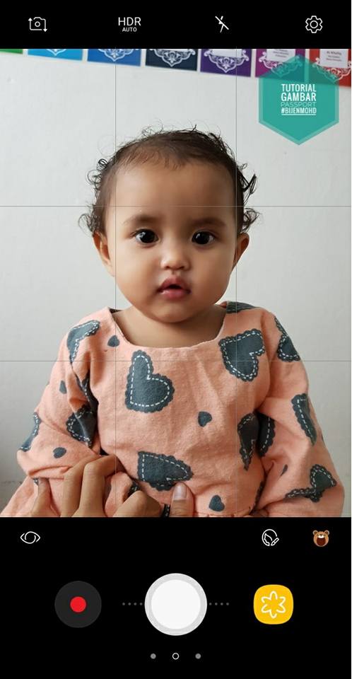 Gambar Passport Latar Belakang Putih - Ani Gambar