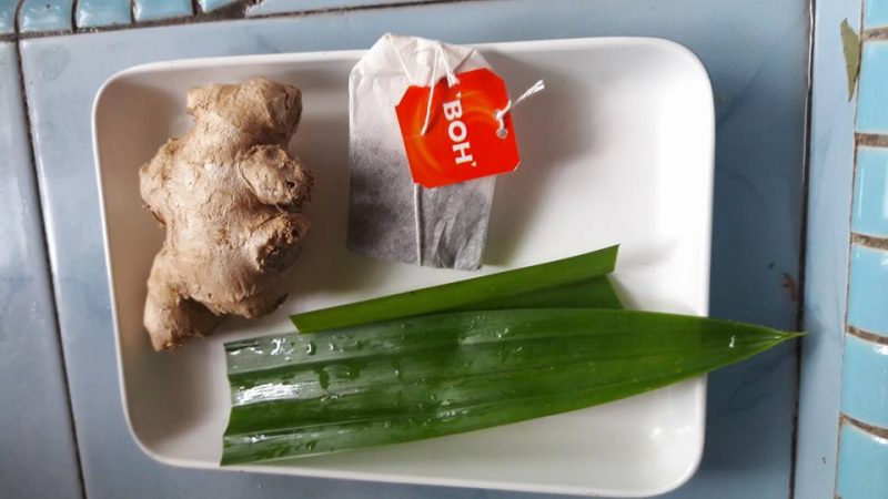 Teh O Pandan Penyegar Badan, Booster Penguat Buat Ibu 